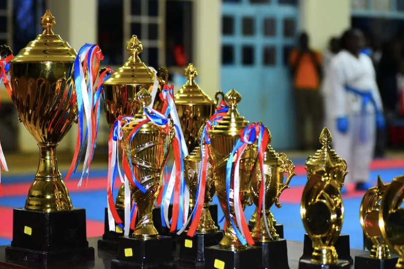 an image of different trophies with red, white and blue ribbons on them.